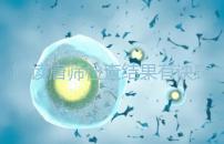 解讀唐篩檢查結(jié)果有訣竅，會(huì)看報(bào)告單上的正常值范圍是關(guān)鍵