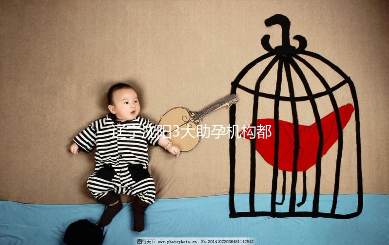 遼寧沈陽3大助孕機構都在這，來看看你知道幾家