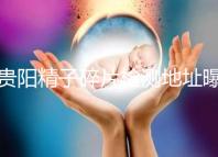 貴陽精子碎片檢測地址曝光，云巖區醫院能看完嗎？