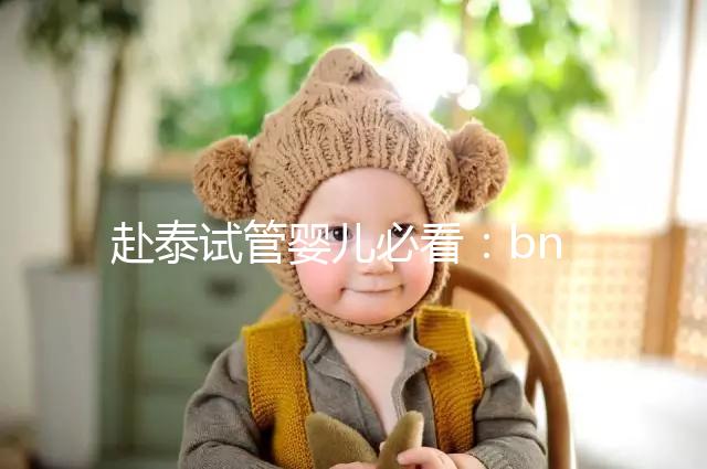 赴泰試管嬰兒必看：bnh和ibaby(愛寶貝)醫院對比介紹