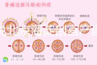 誰(shuí)說北京海淀剖宮產(chǎn)自付費(fèi)用高,了解2024年生育保險(xiǎn)報(bào)銷比例?