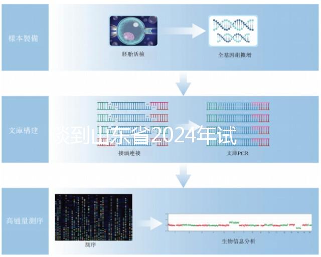 談到山東省2024年試管嬰兒的費用，錢主要花在這些地方