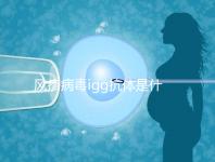 風(fēng)疹病毒igg抗體是什么,其實(shí)這就是基本懷孕條件