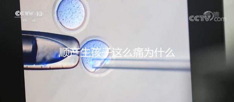 順產(chǎn)生孩子這么痛為什么大家能忍,這些真相非常戳心