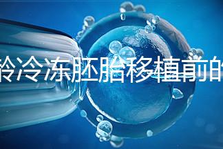 高齡冷凍胚胎移植前的注意事項和禁忌可以清楚地分類嗎？