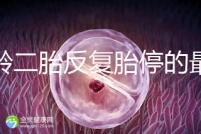 高齡二胎反復(fù)胎停的最大原因很簡單,染色體異常占50%