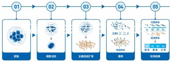 高齡失獨夫妻的“自我救贖”,為什么大都會選擇做試管嬰兒?