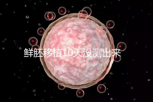 鮮胚移植10天沒測出來怎么辦？從白板到粉印還有希望