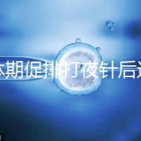 黃體期促排打夜針后還要吃地屈孕酮！服用后作用可真不少