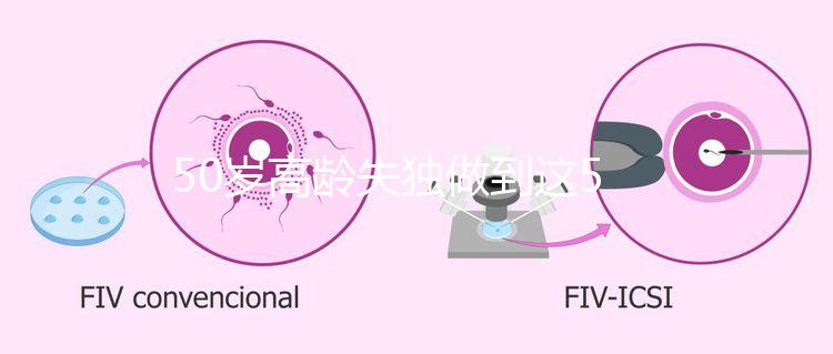 50歲高齡失獨做到這5點，自然受孕率幾率也能很高！