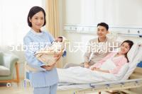 5cb囊胚第幾天能測出看移植成功后續發育怎么樣，不懂戳