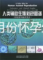 40歲幾月份懷孕生男孩？你想要的答案在生男生女清宮圖