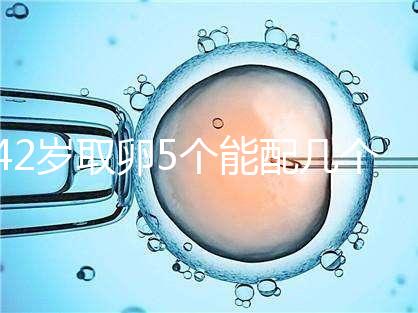 42歲取卵5個能配幾個胚胎難說，只有2個許是技術(shù)差導(dǎo)致