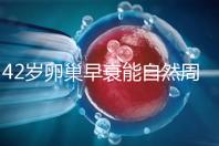 42歲卵巢早衰能自然周期取卵做試管嬰兒?