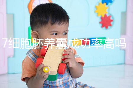 7細胞胚養囊成功率高嗎？聽聽做過試管的姐妹怎么說