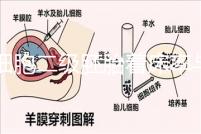 6細(xì)胞二級胚胎著床率與養(yǎng)囊成功率解讀，拿不準(zhǔn)移植與否戳