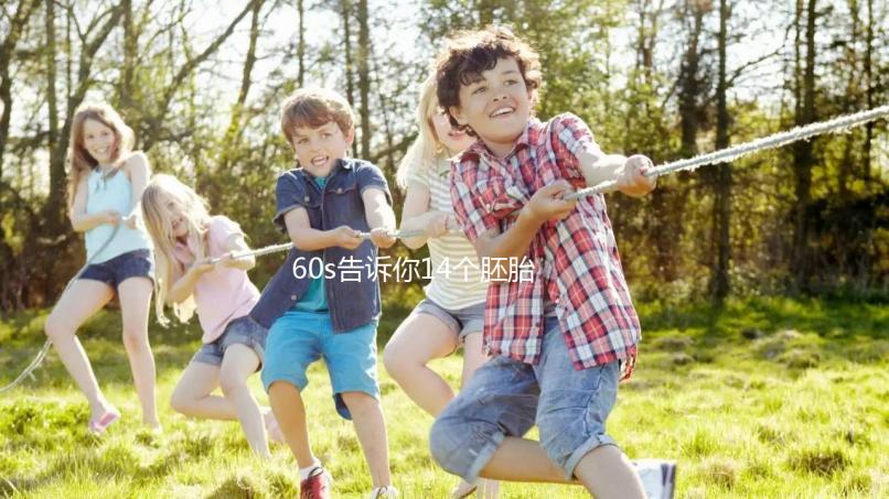 60s告訴你14個胚胎養(yǎng)囊能成多少，只有3個許是質量不行