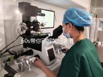60s帶你了解如何調(diào)節(jié)凍胚移植前內(nèi)膜厚卵泡小,快速收集