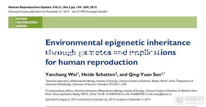60秒弄懂什么是安全期,女生們別再和黃體期混為一談!