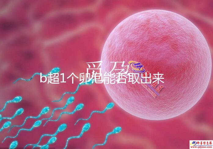 b超1個(gè)卵泡能否取出來(lái)分人,質(zhì)量好或有一定受孕幾率
