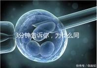 3分鐘告訴你，為什么同卵雙胞胎不會是龍鳳胎