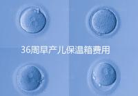 36周早產(chǎn)兒保溫箱費(fèi)用整理,12天到4斤花不了多少錢