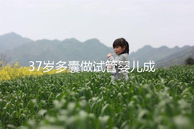 37歲多囊做試管嬰兒成功幾率多高？國(guó)內(nèi)哪里做比較好