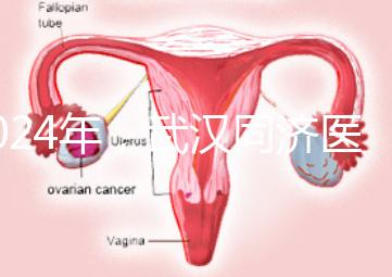 2024年，武漢同濟醫院不孕癥醫生排名公布，選擇專家迅速登記
