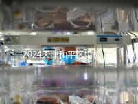 2024天津和平區(qū)婚檢預(yù)約并不難！最重要的是找到免費(fèi)醫(yī)院！