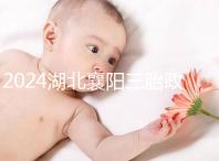 2024湖北襄陽三胎政策最新消息速覽，國家獎勵1萬購房補貼