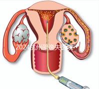 2024杭州邵逸夫醫(yī)院專(zhuān)家門(mén)診表,醫(yī)生上班時(shí)間一網(wǎng)打盡!