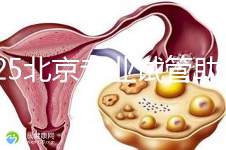 2025北京專業(yè)試管助孕機構可靠推薦來咯,這3家超棒,快碼住!