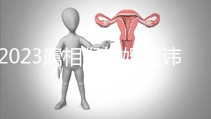 2023屬相猴結(jié)婚忌諱這三種屬相!屬豬的伴娘無(wú)需避開(kāi)