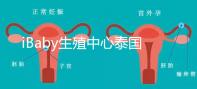 iBaby生殖中心泰國地理位置